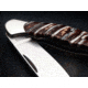 Boker Solingen Junior Scout Mammuth Folding Knife, 2.72in, N690, Mammoth Tooth, Nickel Silver Brown Handle, 111990