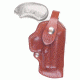 Bond Arms Belt Clip Holster Rh 3.5'' W/full Trigger Guard Tan