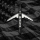 Bowmar Beast MAGA Edition Broadhead 125 gr, 2 in, 3 Pk, 1503725