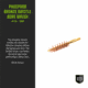 Breakthrough Clean Technologies Phosphorus Bronze Bore Brush, .40 Cal, BT-40PBBB