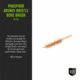 Breakthrough Clean Technologies Phosphorus Bronze Bore Brush, .50 Cal, BT-50PBBB