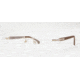 Brooks Brothers BB1007 Bifocal Prescription Eyeglasses 1526-5518 - Gold