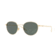 Brooks Brothers BB4043S Single Vision Prescription Sunglasses BB4043S-100171-52 - Lens Diameter 52 mm, Frame Color Gold