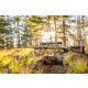 Browning X-Bolt 2 Speed Bolt Action Rifle, .300 Winchester Magnum, 26in Barrel