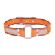 Browning Collar,Perf,1in14-20in, Safety Orange, Medium BPT1005