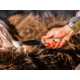 Browning Desolation Fixed Blade Knife, 3.75in, 440-C, Drop Point, Composite Handle, Black, 3220508B