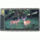 Browning Trail Cameras Trail Camera Viewer, BTC VWR