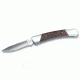 Buck Knives 503 Prince Folding Pocket Knife, 2.5 Inch Blade, 0503RWS