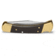 Buck Knives Auto Folding Knife, 3 3/4in 420HC Stainless Steel Blade, Ebony/Brass, 0110BRSA