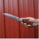 BucknBear Damascus Dagger with Walnut Burlwood Handle, Silver, Wood, BNB15255