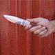 BucknBear Double Edge Fighterwith Burl Wood Handle, Silver, Brown, BNB128369