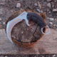 BucknBear Velociraptor Claw Karambit with G10 Handle, Black, Silver, BNB1066KAS