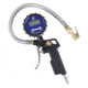Bulldog Winch inflator, Pistol Grip with 0-200PSI Digital Gauge, Black, 42072