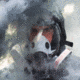 BulletSafe BreatheSafe Respirator/Gas Mask Kit, Black, BS59000