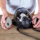 BulletSafe BreatheSafe Respirator/Gas Mask Replacement Filter Set, Black, BS59000.01