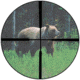 Burris Plex Reticle
