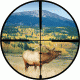 Burris BallPlex Reticle