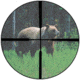 Plex Burris Reticle