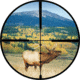BalisticPlex Burris Reticle