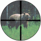 Burris Plex Reticle