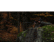 Burris BTH 50 3.3-13.2x50mm Thermal Hand-held Monocular, Multiple Reticles, 400x300, 50hz, Matte Black, 300630