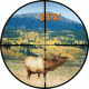 Burris Ballistic Plex Reticle