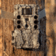 Bushnell Core DS4K True Target