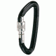 C.A.M.P. High Strength Screw Gate Carabiner