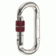 C.A.M.P. Steel Oval Lock Carabiner (Screwgate)