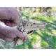 Caliber Gourmet Rubber Band Gun Puzzle