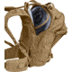 CamelBak BFM Mil Spec Antidote Hydration Backpack, TAN, CB-hydrationbp