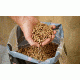 Camp Chef Competition Blend Premium Hardwood Pellets, PLCB