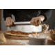 Camp Chef Stainless Steel Rocking Pizza Cutter, Silver, PZC14