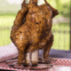 CanCooker Foldable Chicken Rack, Silver, One Size, CKNRK-1501