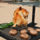 CanCooker Foldable Chicken Rack, Silver, One Size, CKNRK-1501
