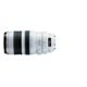 Canon EF 100-400mm f/4.5-5.6L IS USM Lens