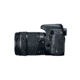 Canon EOS Rebel T7i EF-S 18 - 135mm IS STM Kit, Black, 1894C003
