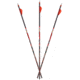 Carbon Express D-Stroyer MX Hunter 350 6-pack Arrows, 51148