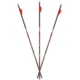 Carbon Express D-Stroyer MX Hunter 350 6-pack Arrows, 51148