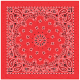 Carolina Manufacturing Bandana Paisley Terracotta B22PAI-000014