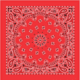 Carolina Manufacturing Bandanas Red W/hang Tag &amp; Upc B22PAI-000001 UPC