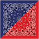Carolina Manufacturing Split Paisley Navy/red B22PAI-000201