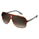 Carrera 122/S Sunglasses CA122S-0L2L-HA-6111 - Havana Black Frame, Brown Gradient Lenses, Lens Diameter 61mm, Distance Between Lenses 11mm