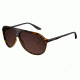 Carrera 6015/S Sunglasses CA6015S-0N62-8U-6112 - Havana Black Frame, Dark Brown Lenses, Lens Diameter 61mm, Distance Between Lenses 12mm