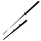 Cas Hanwei Taotie Jian Longsword SD13790