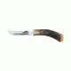 Case 523-4 1/4 SS Stag Hunters Fillet Knife, Fixed Blade with Pheasant Design and Leather Sheath 00341
