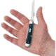 Case Mini Trapper Mediterranean Folding Knife, 3.5in Closed, Mirror Stainless Clip/Spey Blades, Pocket Worn Mediterranean Blue Jigged Bone Handle, 51852