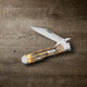 Case Cheetah Folding Knife, 4.38 in, Tru-Sharp Surgical Steel, Case 6.5 BoneStag Handle, 65319