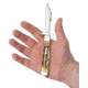 Case Cheetah Folding Knife, 4.38 in, Tru-Sharp Surgical Steel, Case 6.5 BoneStag Handle, 65319