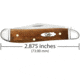 Case Peanut Folding Knife, 2.88 in, Tru-Sharp Surgical Steel, Smooth Antique Bone Handle, 58201